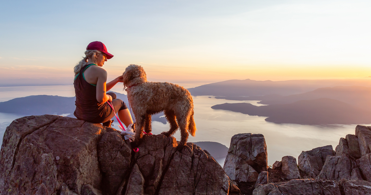 Community program hero